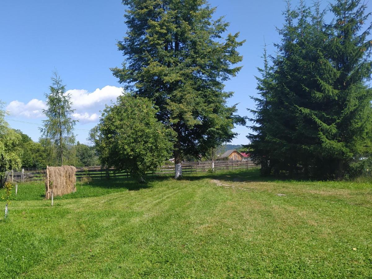 Casa Moldovita Bagian luar foto