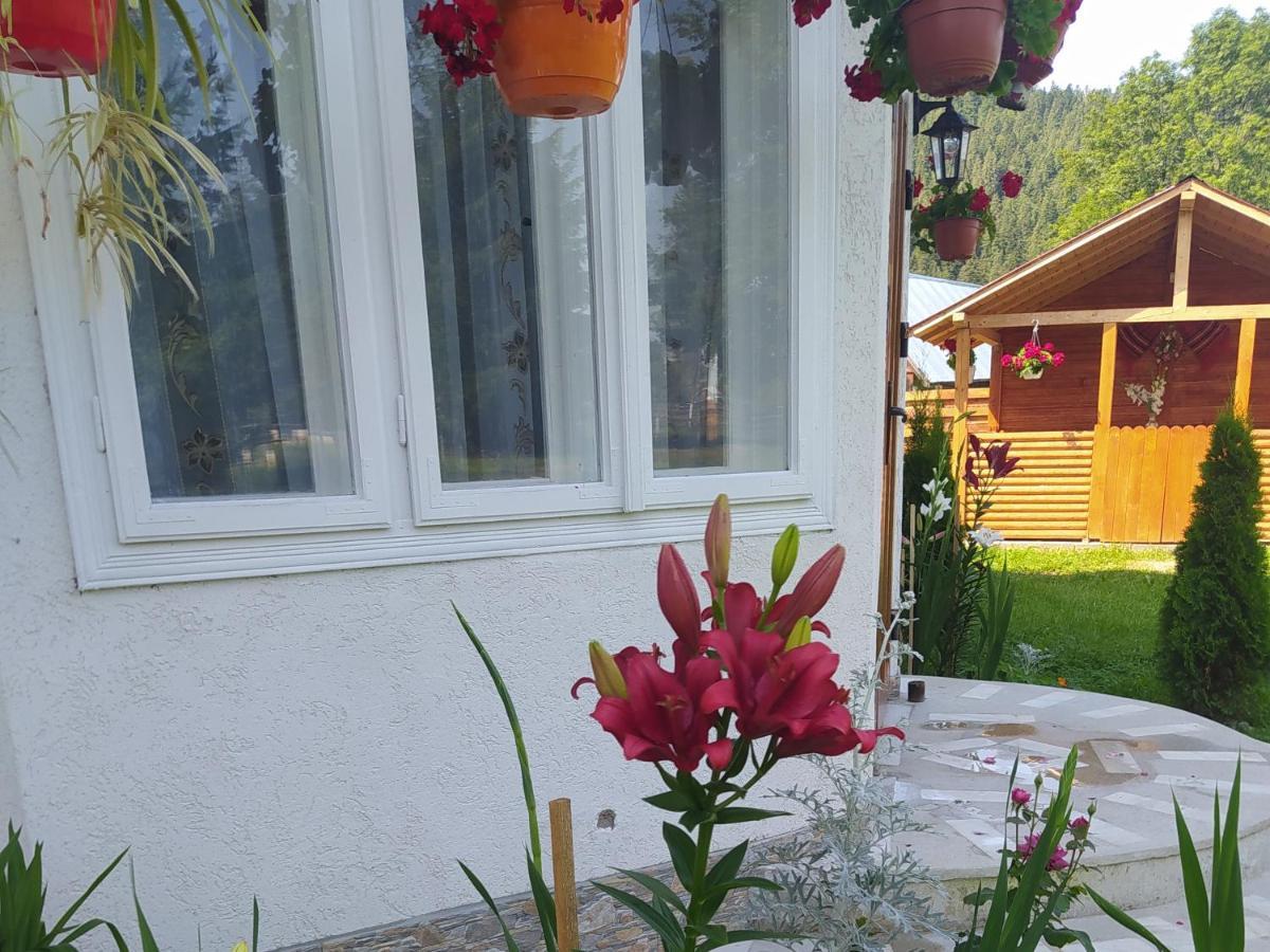 Casa Moldovita Bagian luar foto