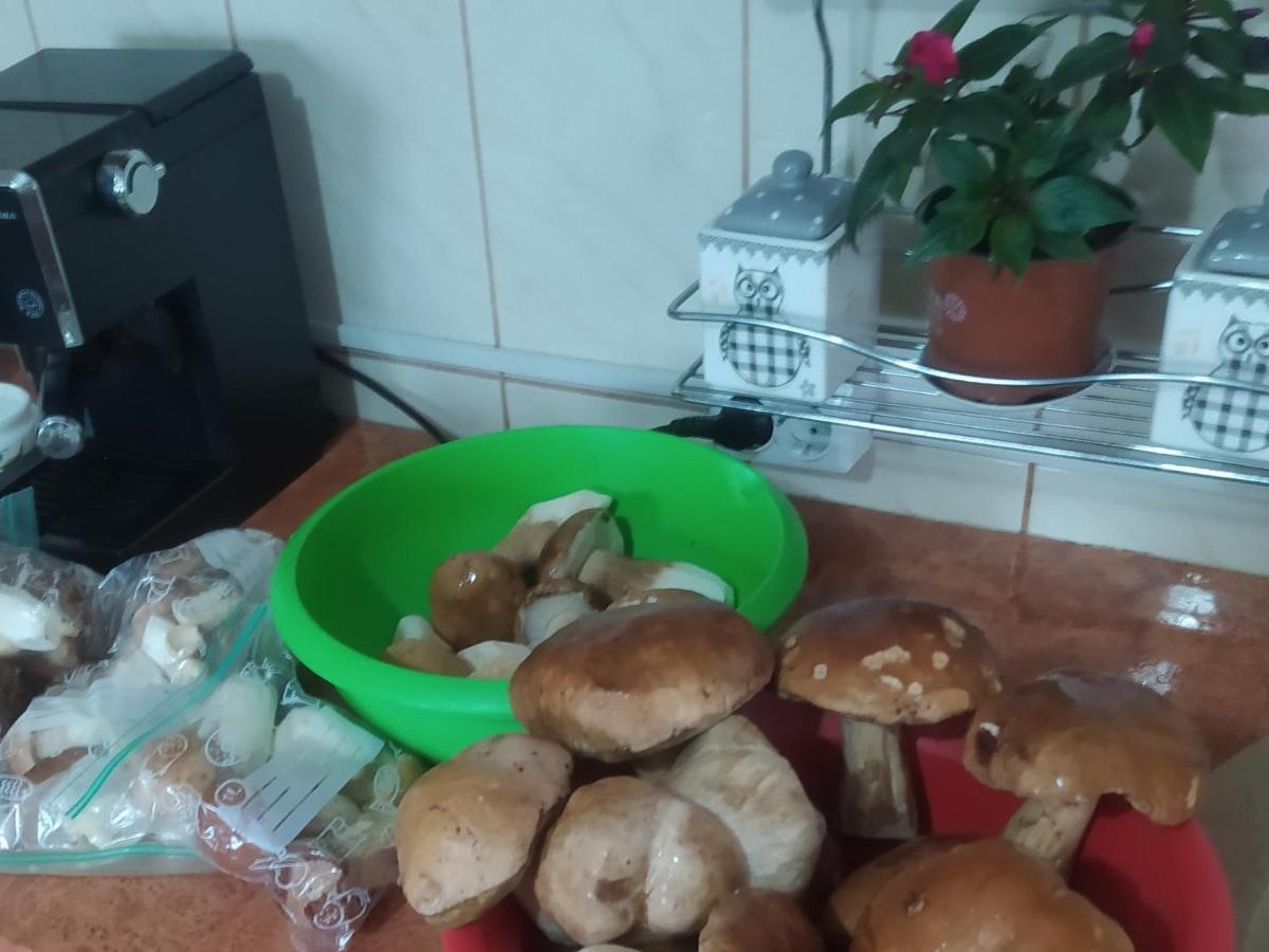 Casa Moldovita Bagian luar foto